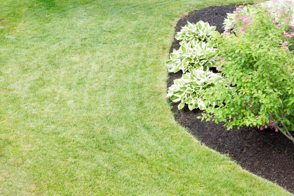 Love for Landscaping - Lawn Maintenance 2