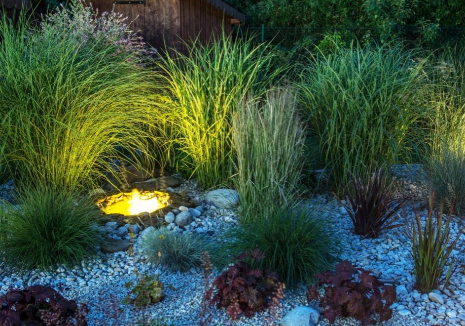 Love for Landscaping - Landscape Lighting 1